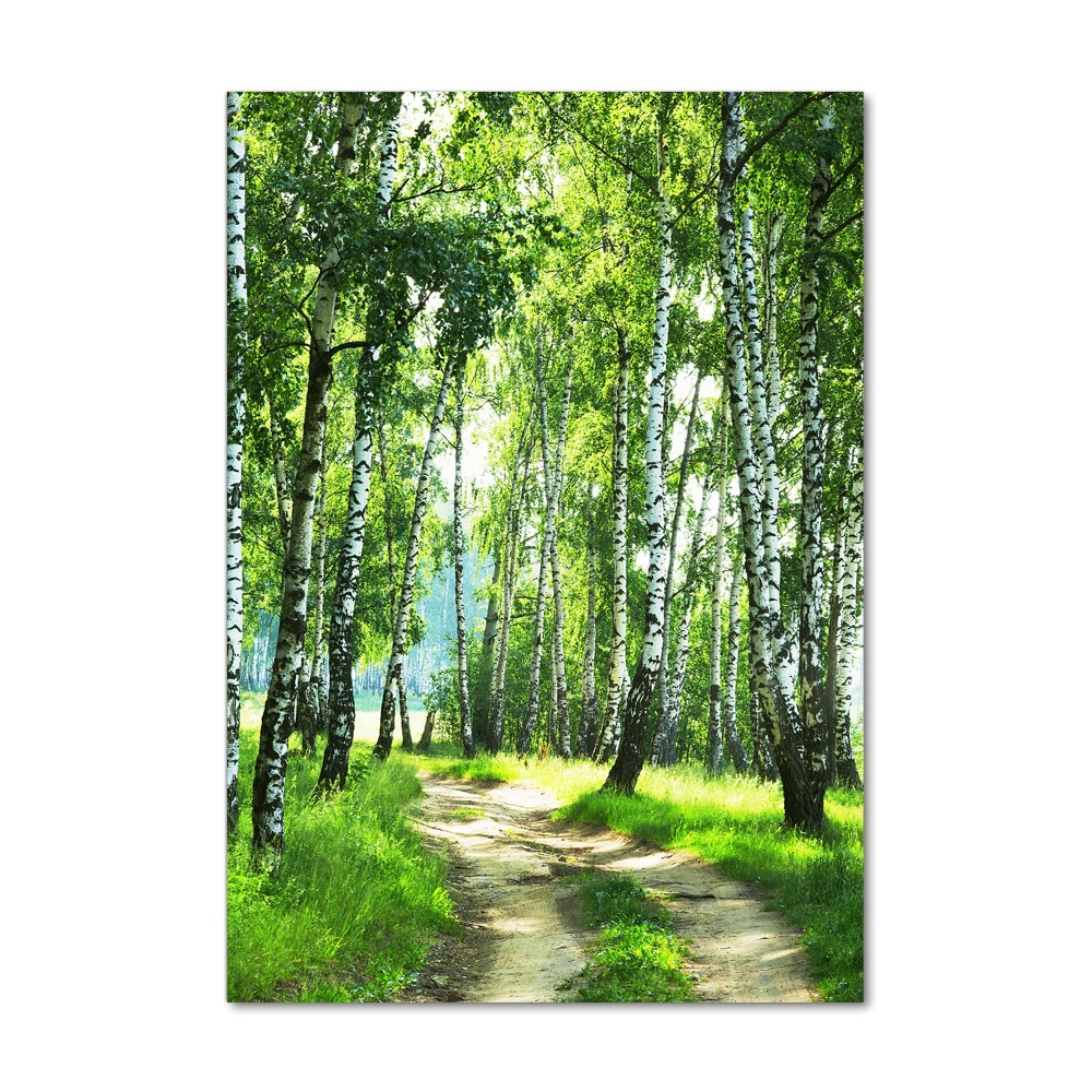 Print on acrylic Birch forest