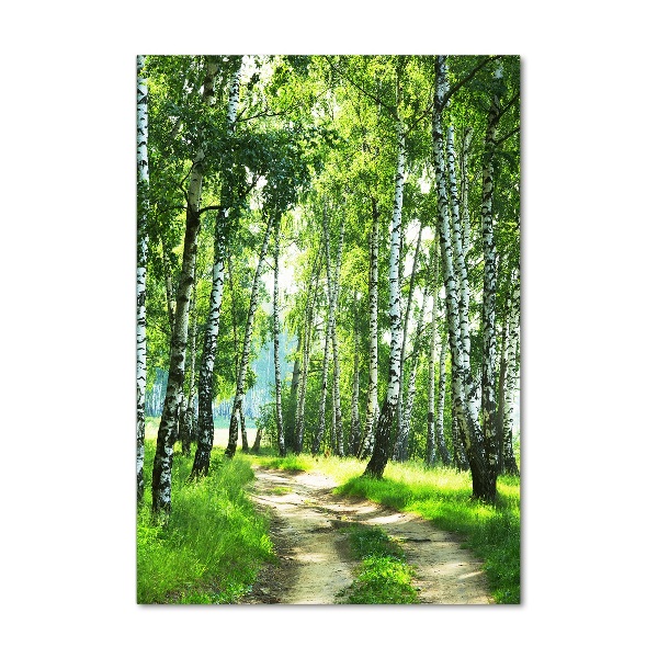 Print on acrylic Birch forest