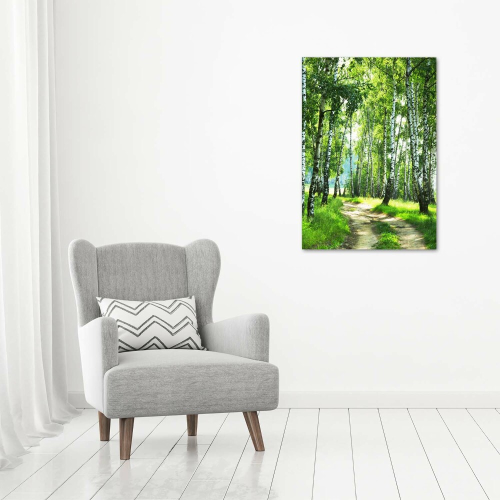 Print on acrylic Birch forest