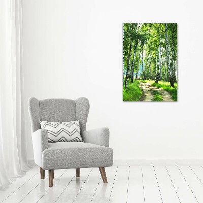 Print on acrylic Birch forest