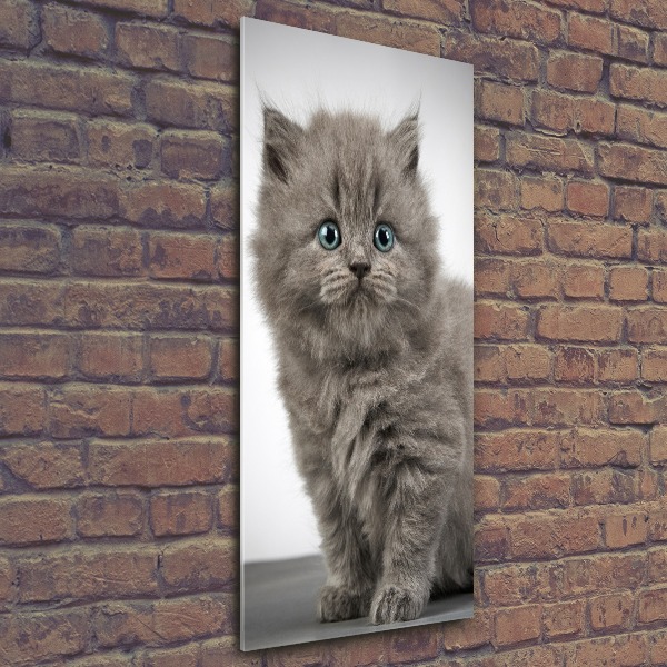 Print on acrylic glass Gray British cat