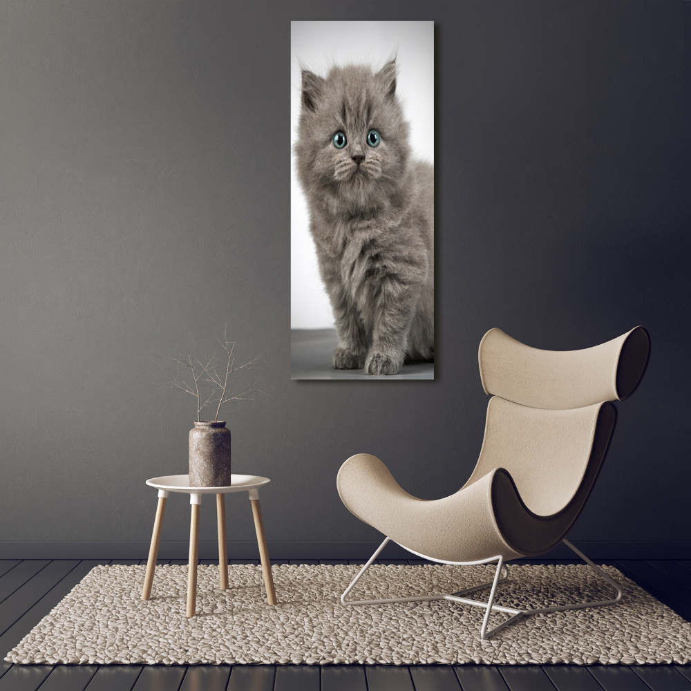 Print on acrylic glass Gray British cat