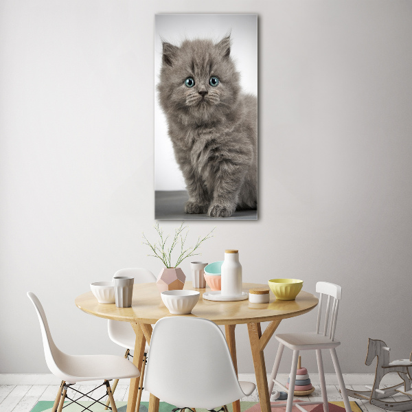 Print on acrylic glass Gray British cat