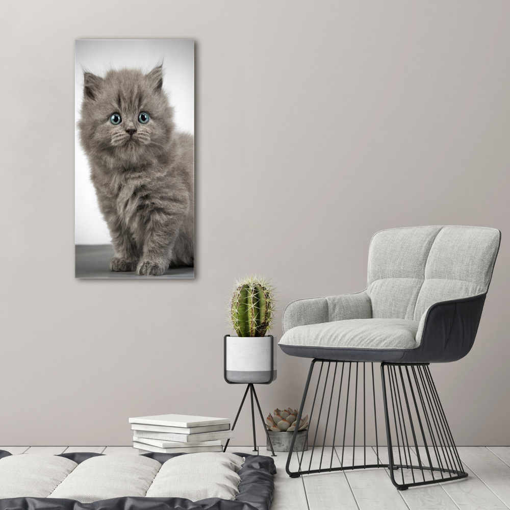 Print on acrylic glass Gray British cat