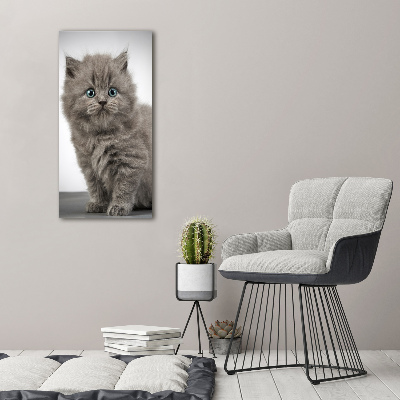 Print on acrylic glass Gray British cat