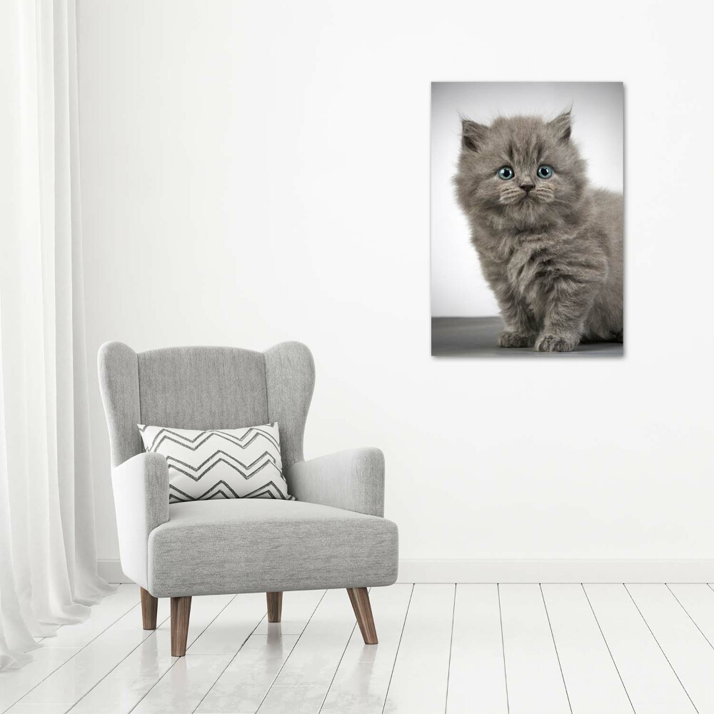 Print on acrylic glass Gray British cat