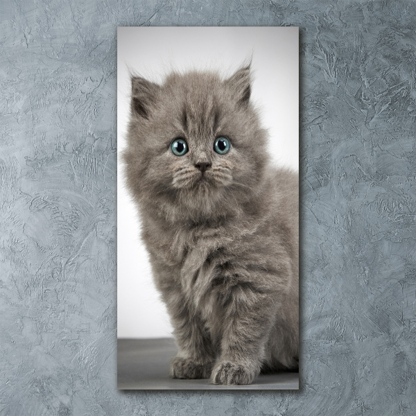 Print on acrylic glass Gray British cat