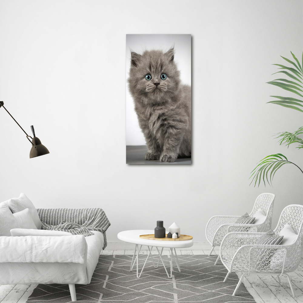 Print on acrylic glass Gray British cat