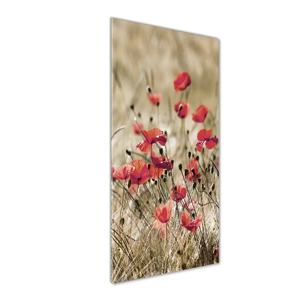 Print on acrylic Field flowers