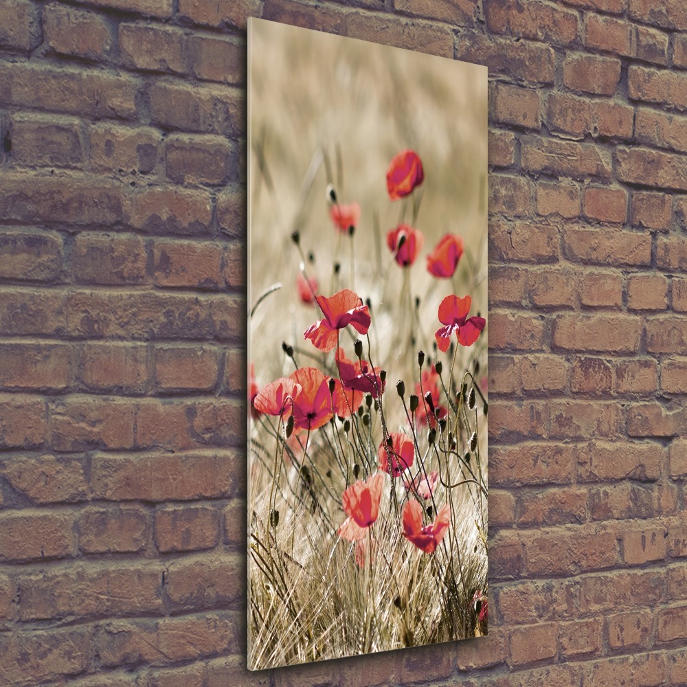 Print on acrylic Field flowers