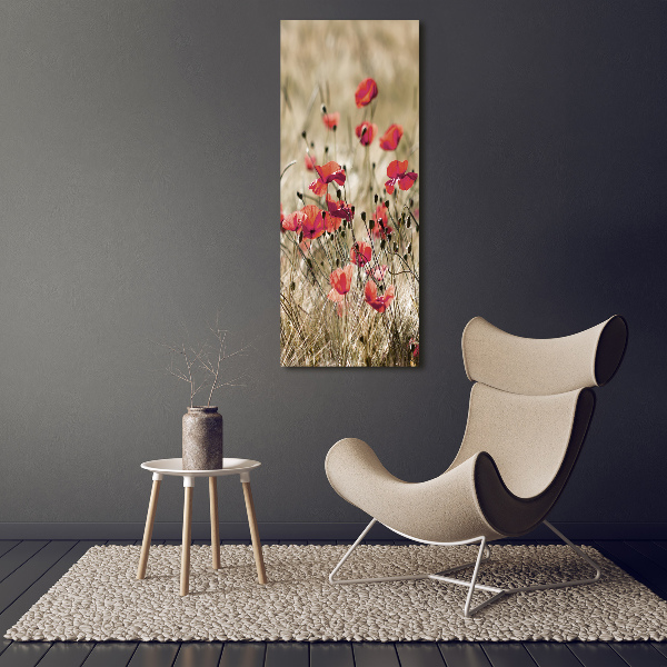 Print on acrylic Field flowers