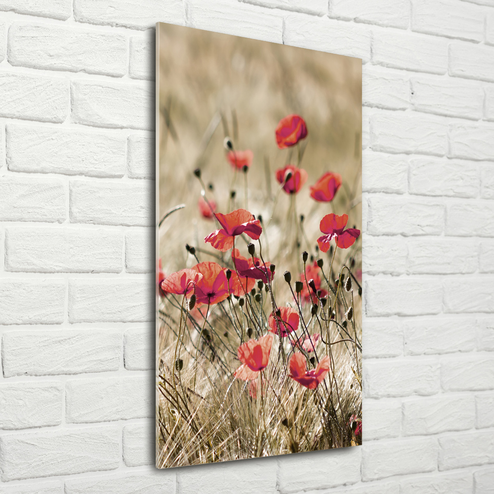 Print on acrylic Field flowers