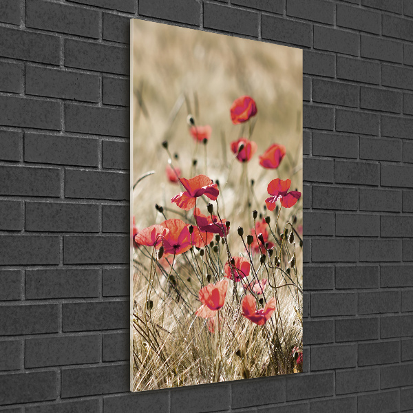 Print on acrylic Field flowers