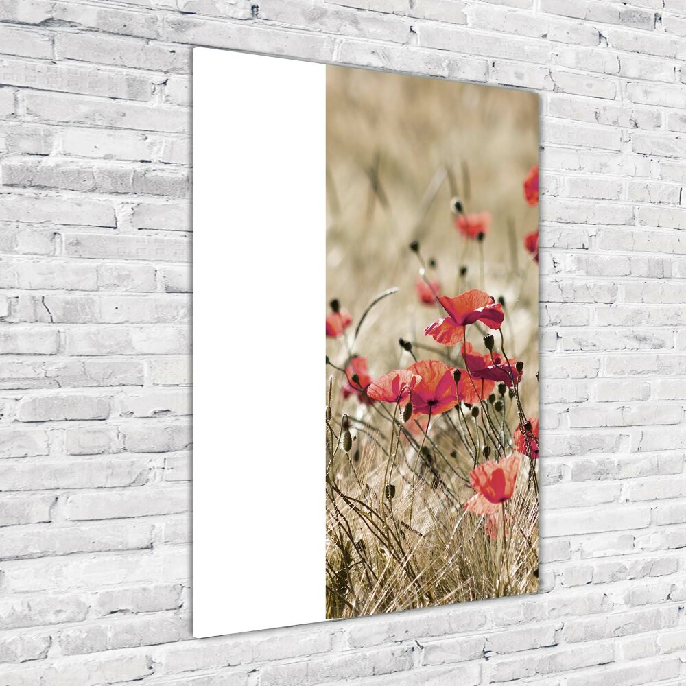 Print on acrylic Field flowers