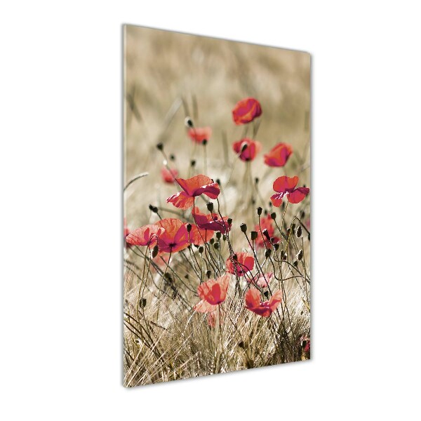 Print on acrylic Field flowers