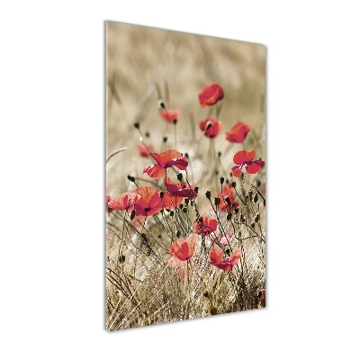 Print on acrylic Field flowers