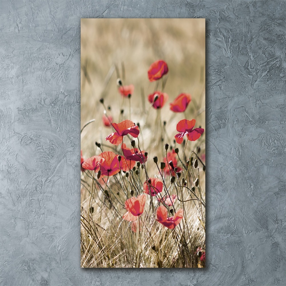 Print on acrylic Field flowers