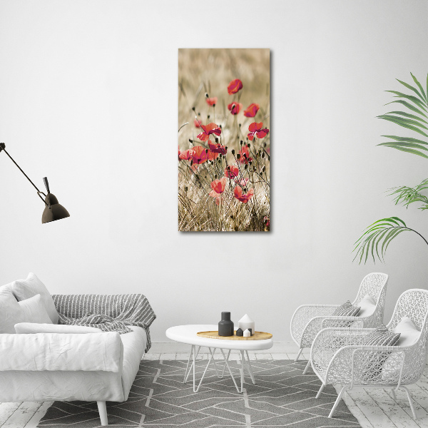 Print on acrylic Field flowers