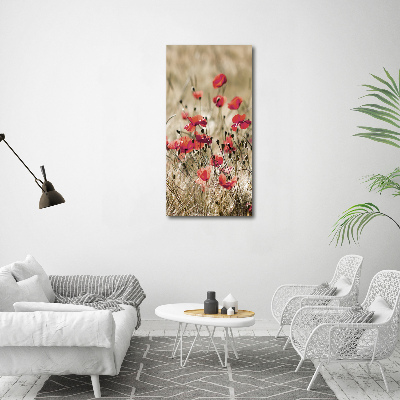 Print on acrylic Field flowers