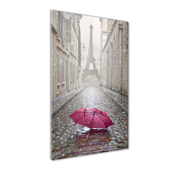 Acrylic wall art France umbrella