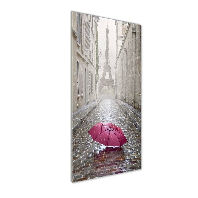 Acrylic wall art France umbrella