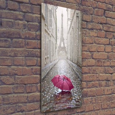 Acrylic wall art France umbrella