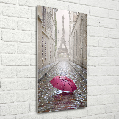 Acrylic wall art France umbrella