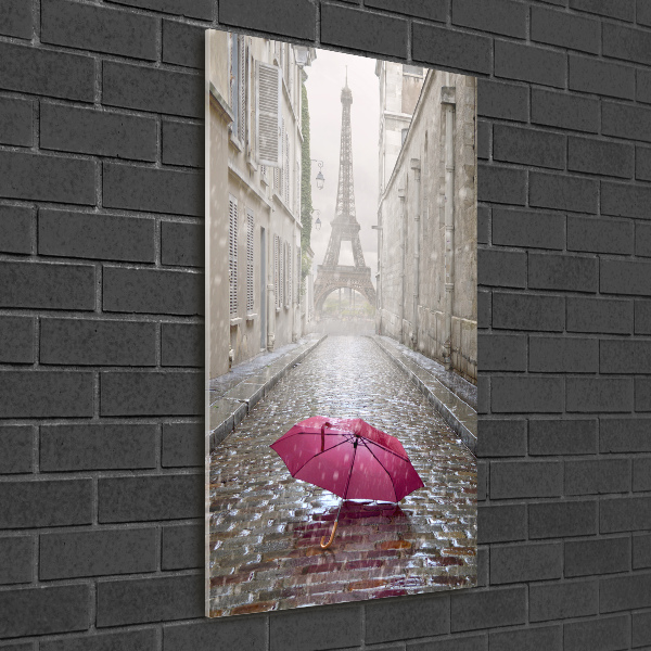 Acrylic wall art France umbrella