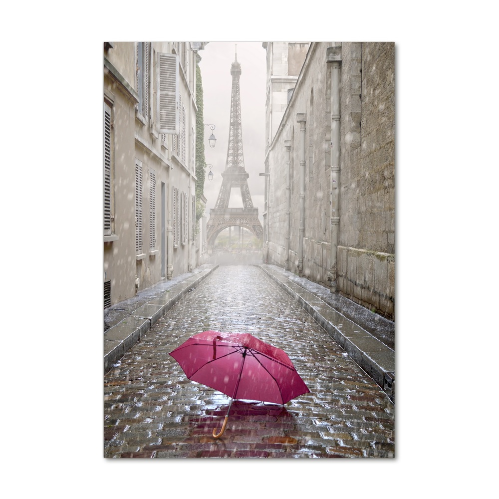 Acrylic wall art France umbrella