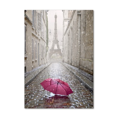 Acrylic wall art France umbrella