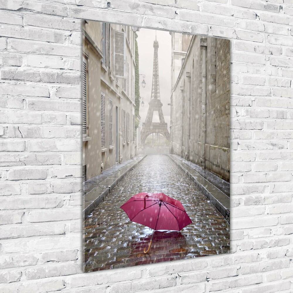 Acrylic wall art France umbrella