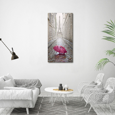 Acrylic wall art France umbrella