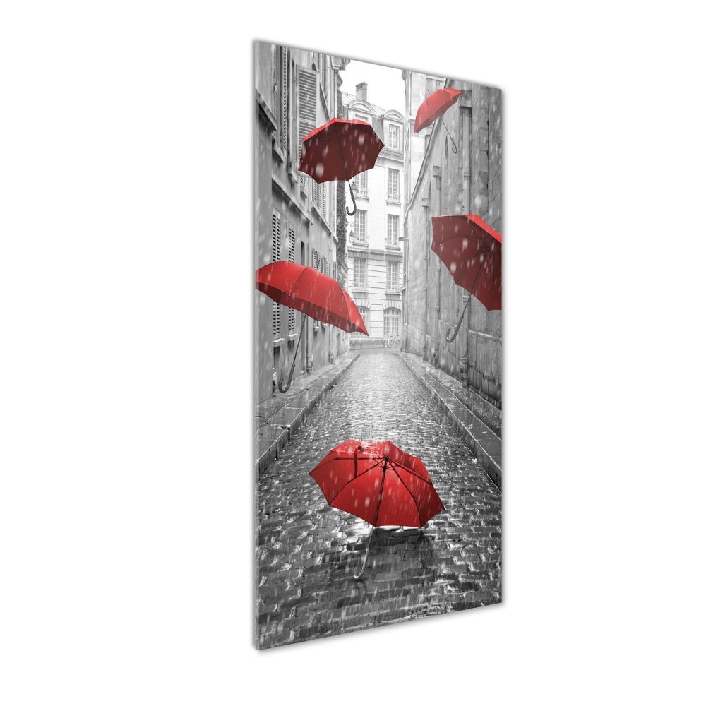 Acrylic wall art France umbrella