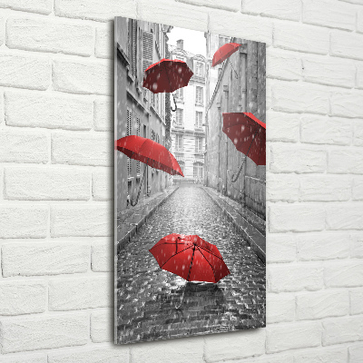 Acrylic wall art France umbrella