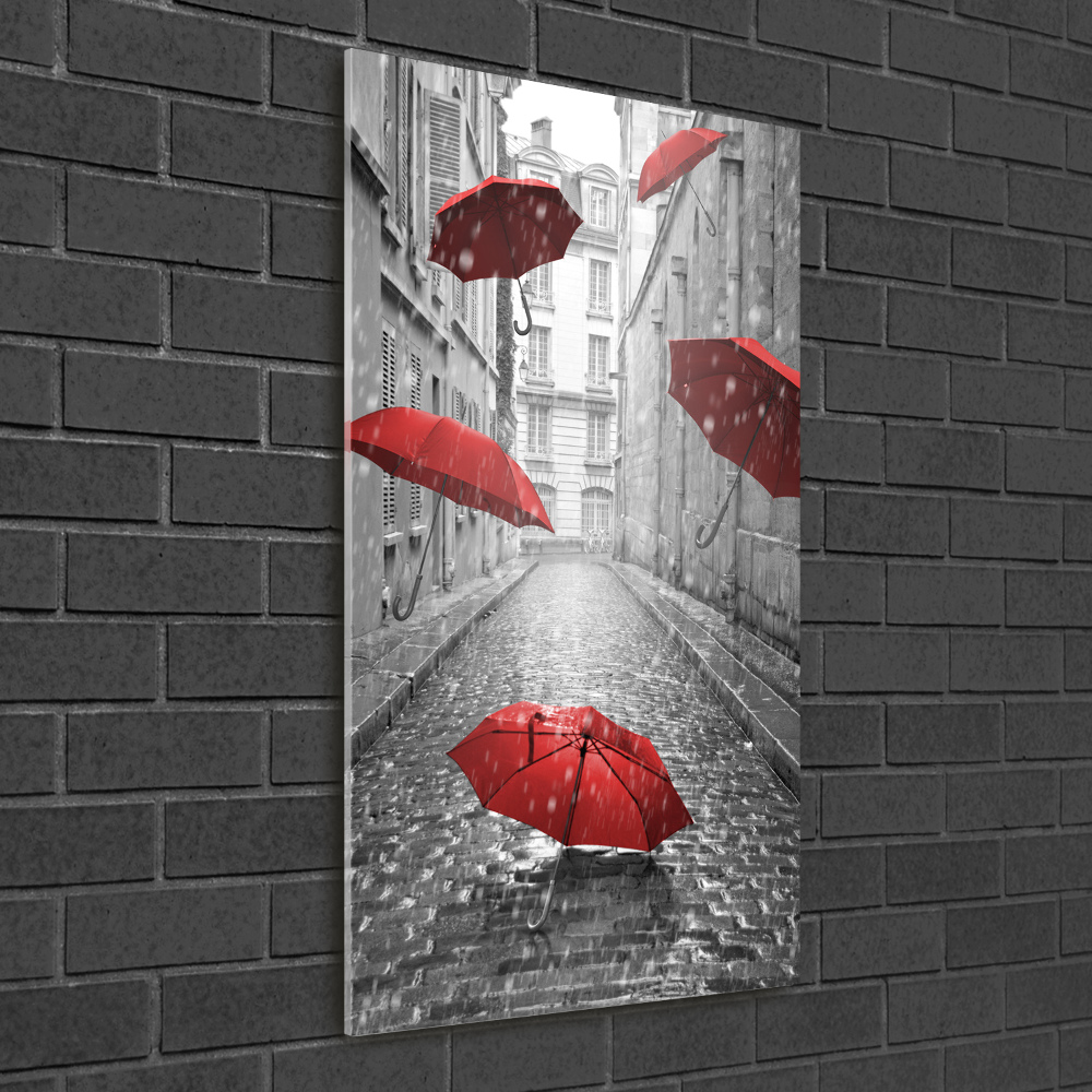 Acrylic wall art France umbrella