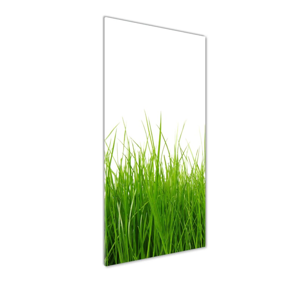 Print on acrylic green grass