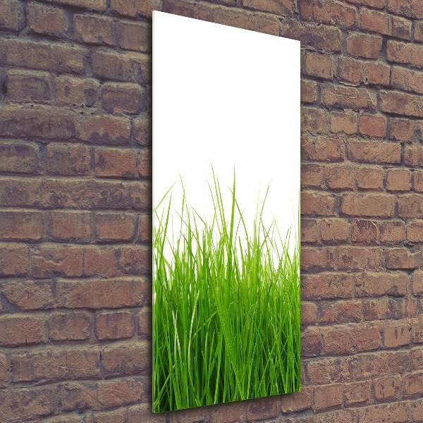 Print on acrylic green grass