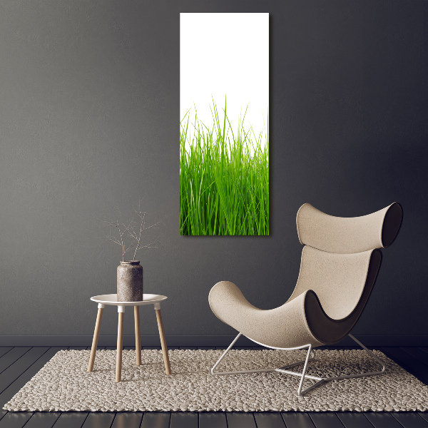 Print on acrylic green grass