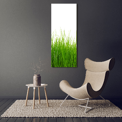 Print on acrylic green grass