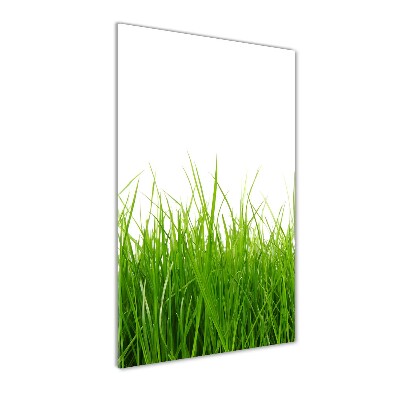 Print on acrylic green grass