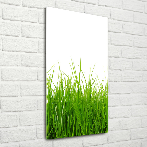 Print on acrylic green grass