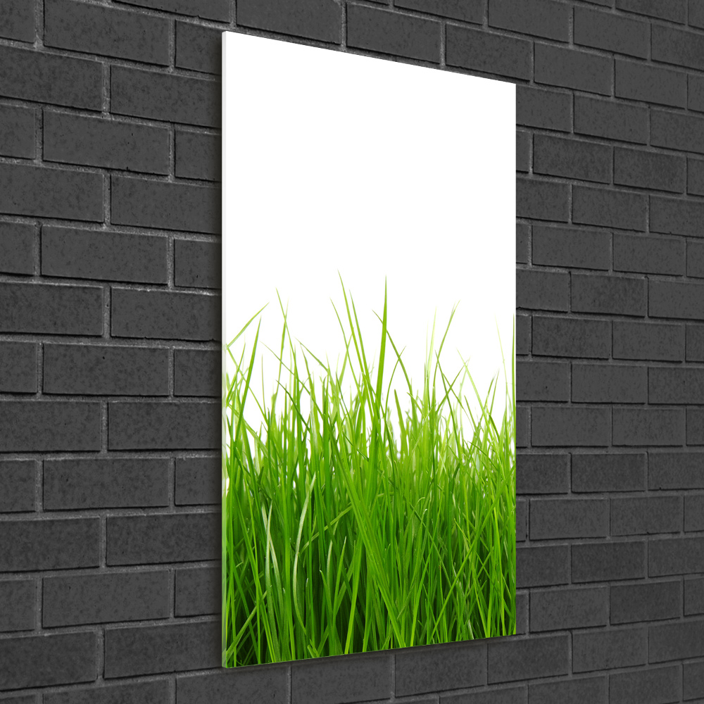 Print on acrylic green grass