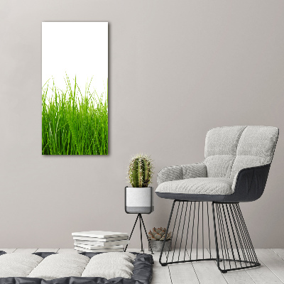 Print on acrylic green grass