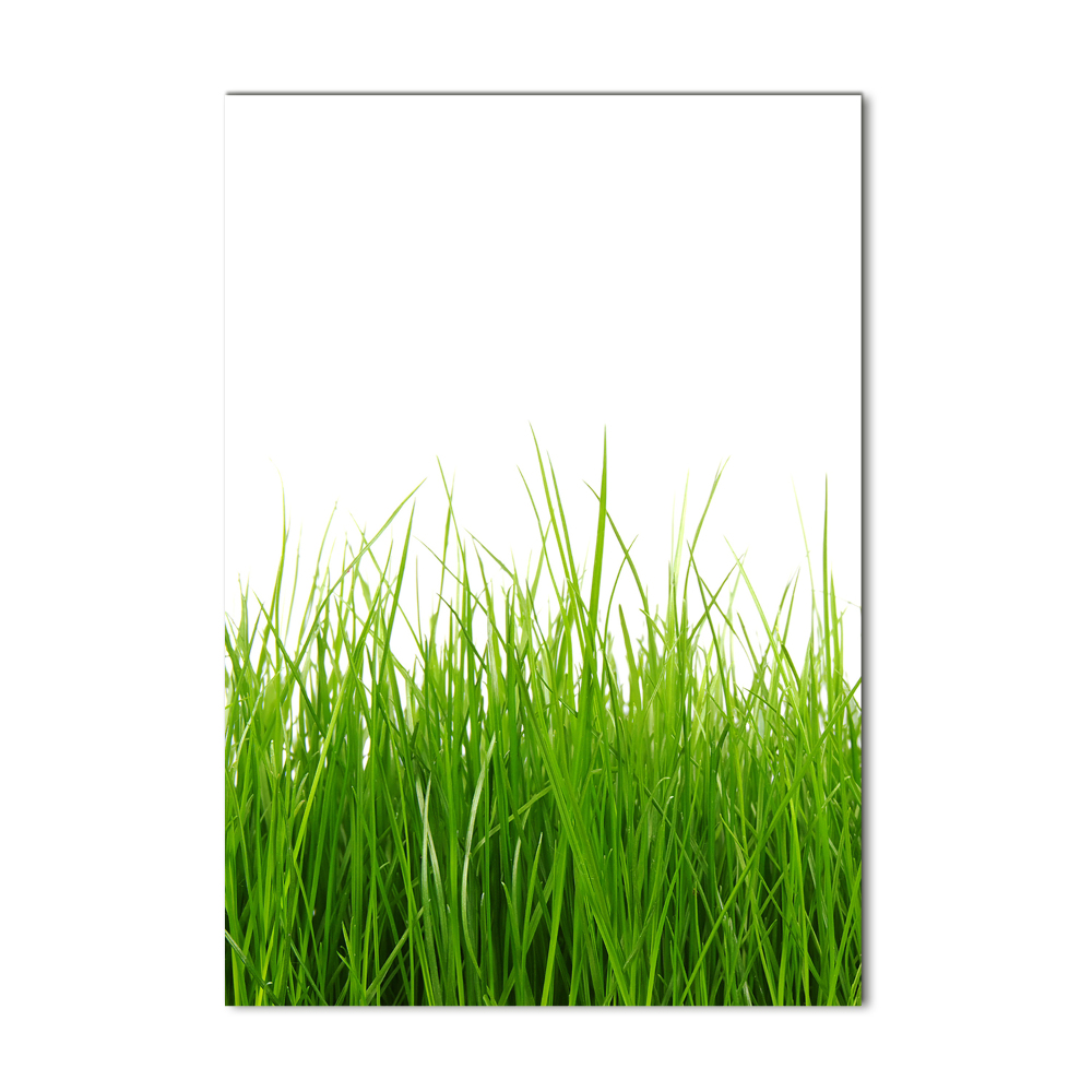 Print on acrylic green grass