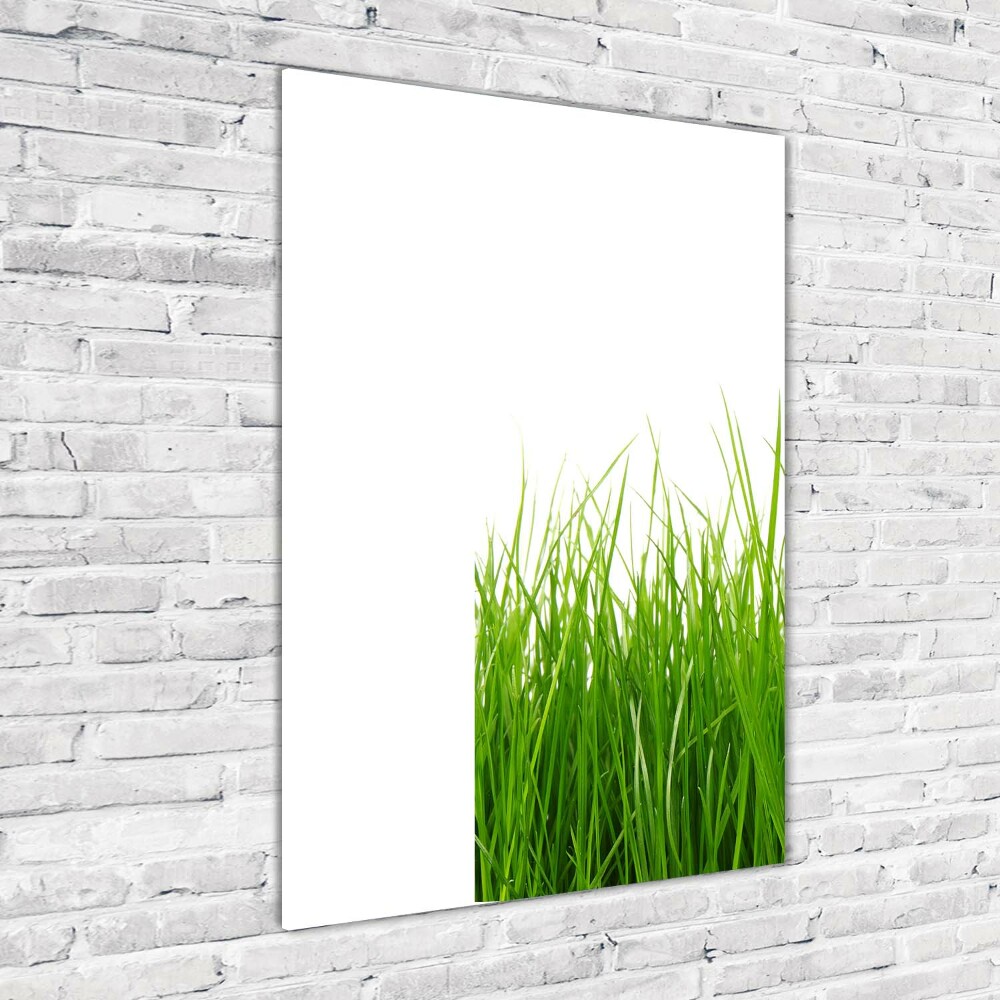 Print on acrylic green grass