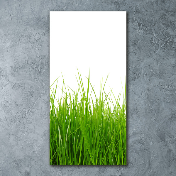 Print on acrylic green grass