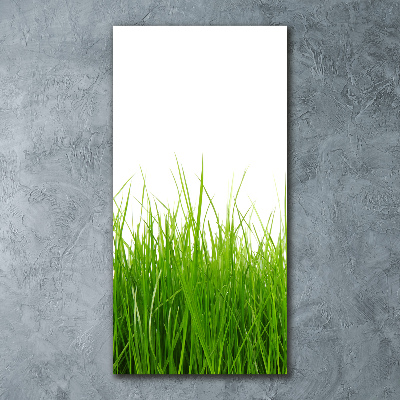 Print on acrylic green grass