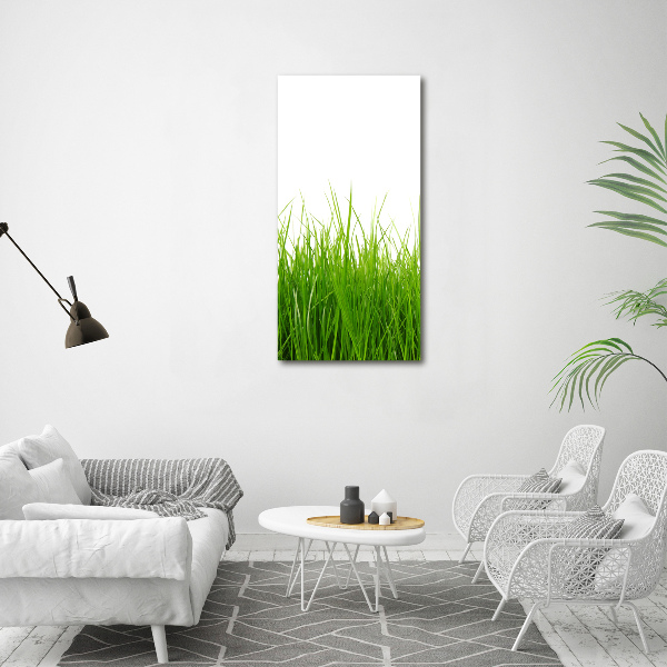 Print on acrylic green grass