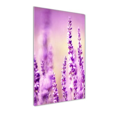 Print on acrylic glass Lavender