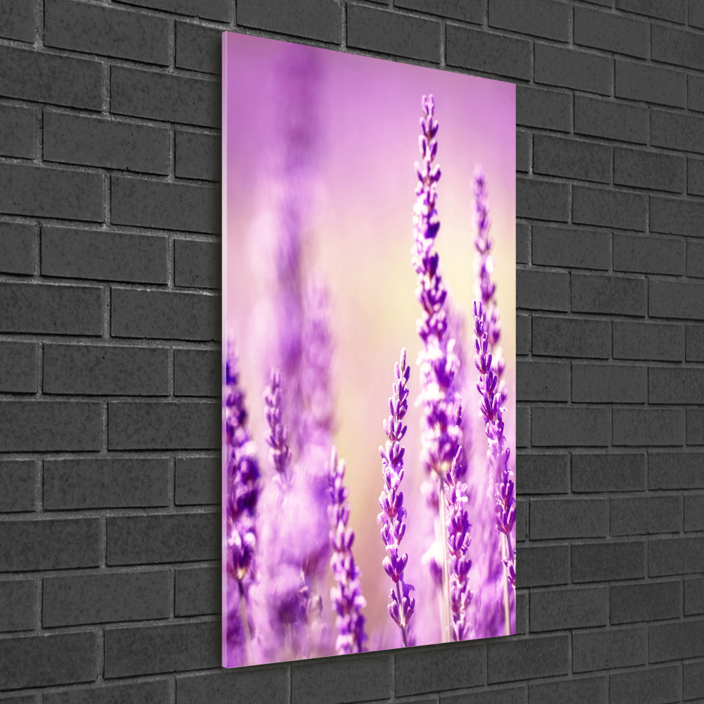 Print on acrylic glass Lavender